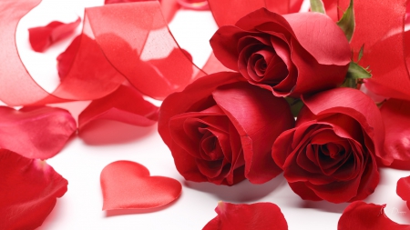 Roses and Petals - love, roses, love four seasons, hearts, valentines, romantic, petals, red, valentines day, holiday, beloved valentines, flowers, red roses