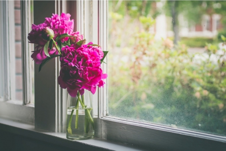 Flowers - photography, love, abstract, soft