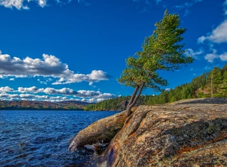 Paradise Place - trees, nature, beaches, photography, beauty, sky