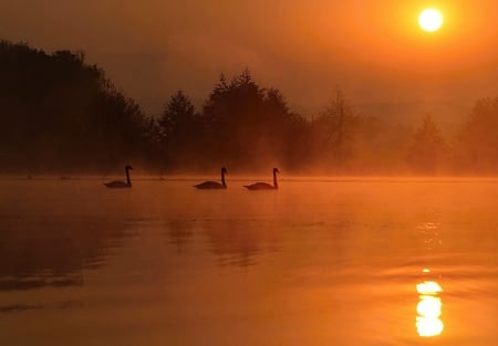 Sunset - nature, sunset, beautiful, river