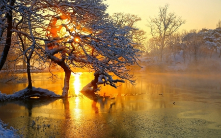 Winter - sunset - winter, trees, sunset, river