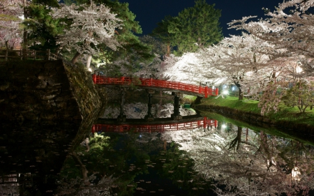 Spring Garden - night, park, japanese, spring, cherry blossom, sakura, japan, river, garden, bridge