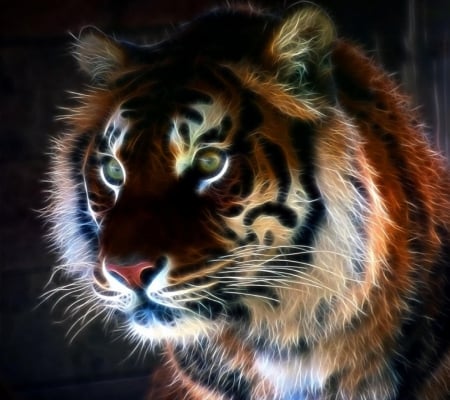 Fractal tiger - digital, tiger, fractal, abstract, eyes