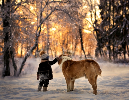 ღ - trees, winter, snow, dog, sunrise, forest, love, child, winter time, nature, friends, sky, woods