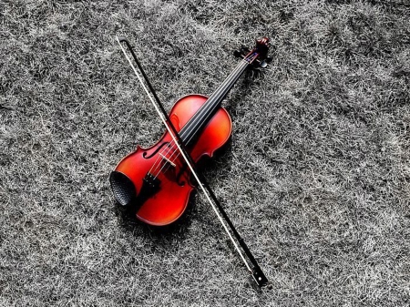 Still Life - one, violin, color, still life