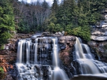 Forest Waterfall