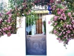 beautiful rose arch