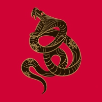 Chinese Zodiac ~ Snake