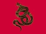 Chinese Zodiac ~ Snake