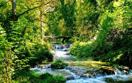 forest river - nature, fun, forest, cool, river