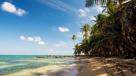 Exotic Palm Beach - tropical, beach, plam trees, sea, sand, rocks