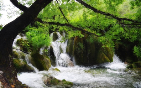 waterfall - fun, nature, cool, forest, river, waterfall