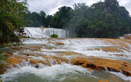 river - fun, nature, cool, forest, river, waterfall