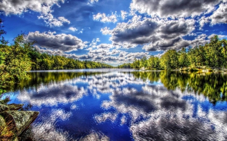 lake - lake, forest, cool, fun, nature