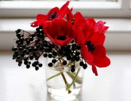 Sweet Poppies - red, glass, poppies, flowers, vase