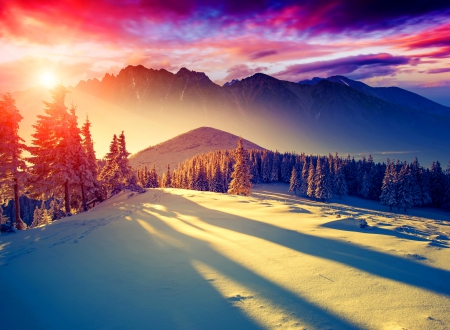 Winter sun - pretty, trees, hills, winter, amazing, beautiful, snow, landscape, sunrise, mountain, glow, colorful, sunset, nature, rays, sun