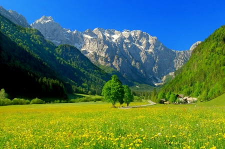 The Logar valley - valley, sky, slovenia, freshness, greenery, meadow, spring, pretty, grass, cliffs, houses, mountain, hills, summer, lovely, beautiful, flowers, wildflowers