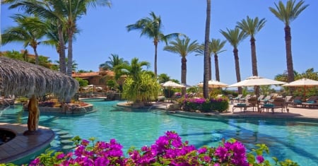 Amazing Exotic Vacations - swimming pool, palm trees, tropical, summer, holidays, sunshades, beautiful, flowers, resort