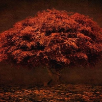 RED TREE