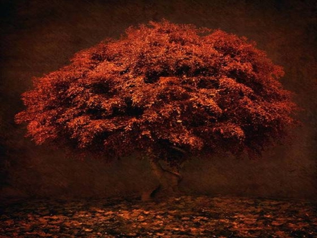 RED TREE - tree, red