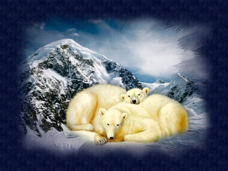 Polar Bears - snow, cuddling, mountain, polar bears