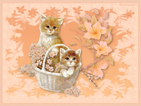 Kittens in a basket - apricot frame, cane basket, kittens, cats, flowers