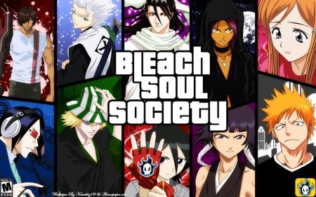 BLEACH SOUL SOCIETY - soul, bleach, society, ichigo, shinigami