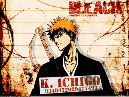 shinigami mugshot - shinihami, ichigo, bleach, shot