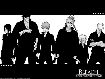 Black AND White Power - white, bleach, ichigo, shinigami, black