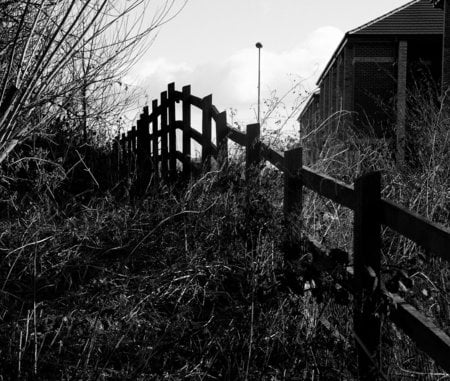 Our Back Garden - hill, fence, plants