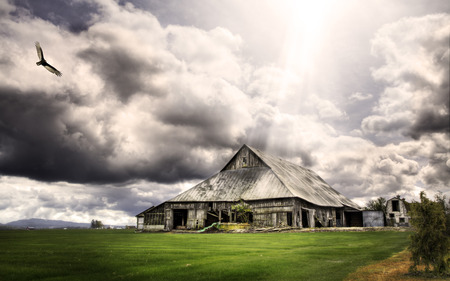 Country House - nature, fields, houses, cloudy