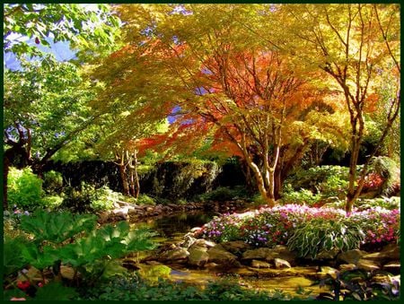 Serene Autumn Garden - trees, autumn colours, bushes, rocks, gold, yellow, orange, pond, garden