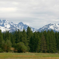 Moutains  Trees 