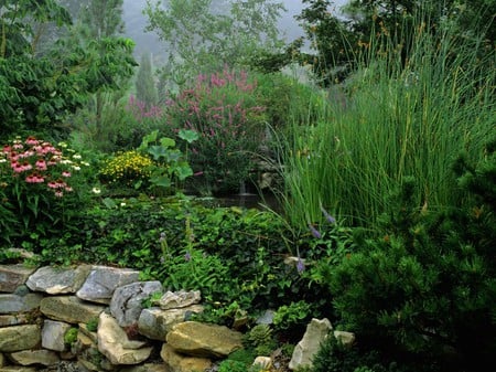 Water Garden  - nature, landscape