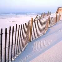 White Sand Dunes