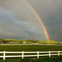  Farmland   Rainbow 