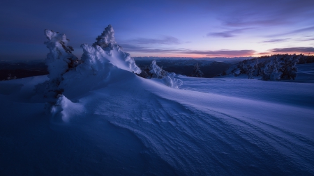 * - snow, winter, nature, sky