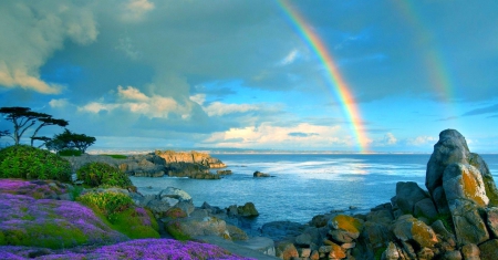 Morning Rainbow - sky, rainbow, trees, plants, coast, rocks, beautiful, clouds, flowers, sea