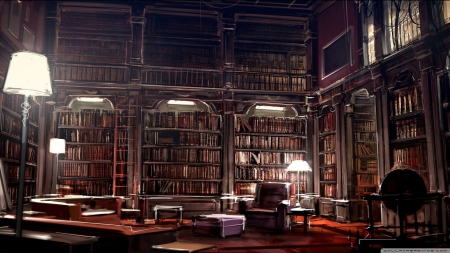 library - library, sofa, shelf, lamp, book, couch