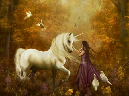 Unicorn - in, forest, the, enchanted