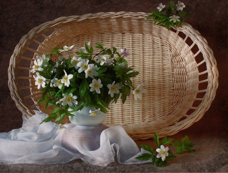 Still Life - white, basket, flowers, still life