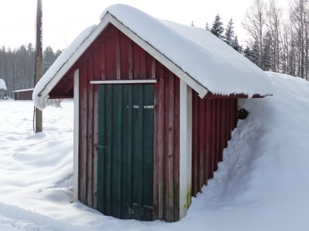 Old earth cellar - countryside, earth-cellar, door, winter, roof, snow, walls