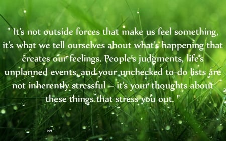 What's Happening - Quotes, Grass, Words, Nature, Thoughts