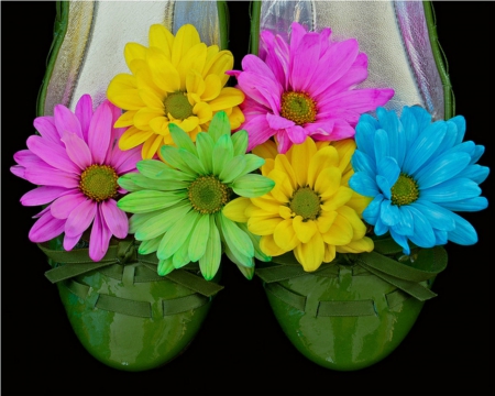 Green Shoe and Flowers - green, colors, flowers, shoe