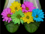 Green Shoe and Flowers