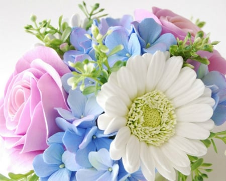 Beautiful Flowers - colorful, flowers, bloom, petals