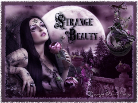 STRANGE BEAUTY