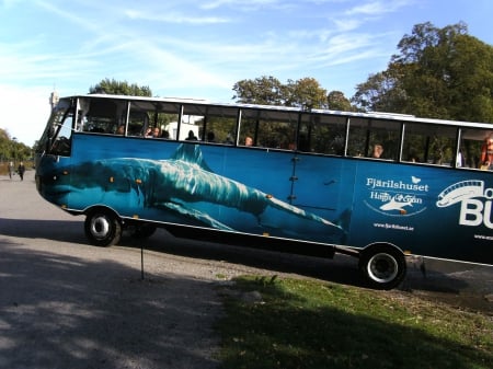 Amphibious bus - water, summer, people, stockholm