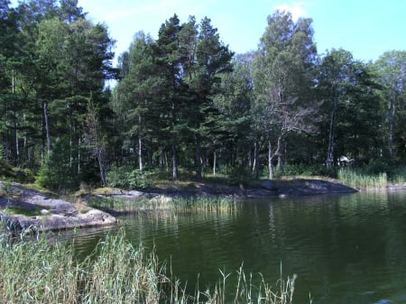 Swedish nature - Sweden, Forrest, Summer, Lake