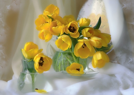 Still Life - flowers, beautiful, yellow, still life